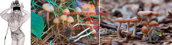 каннабис Белоозёрский