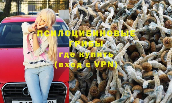 ALPHA-PVP Белокуриха